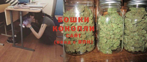 ПСИЛОЦИБИНОВЫЕ ГРИБЫ Майский