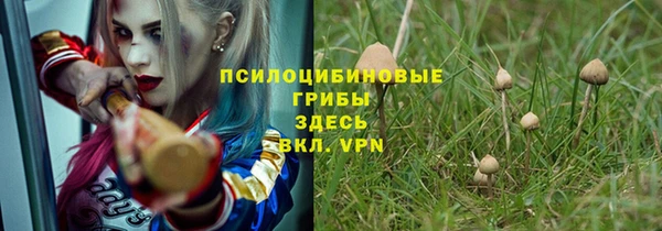 ПСИЛОЦИБИНОВЫЕ ГРИБЫ Майский